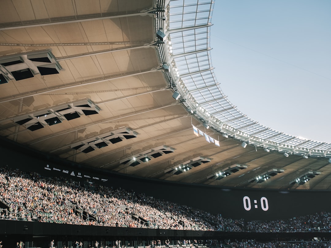 Stay Safe and Cheer Loud: Fan Safety Tips for the World Cup 2026 – World Cup 2026, fan safety, football tips