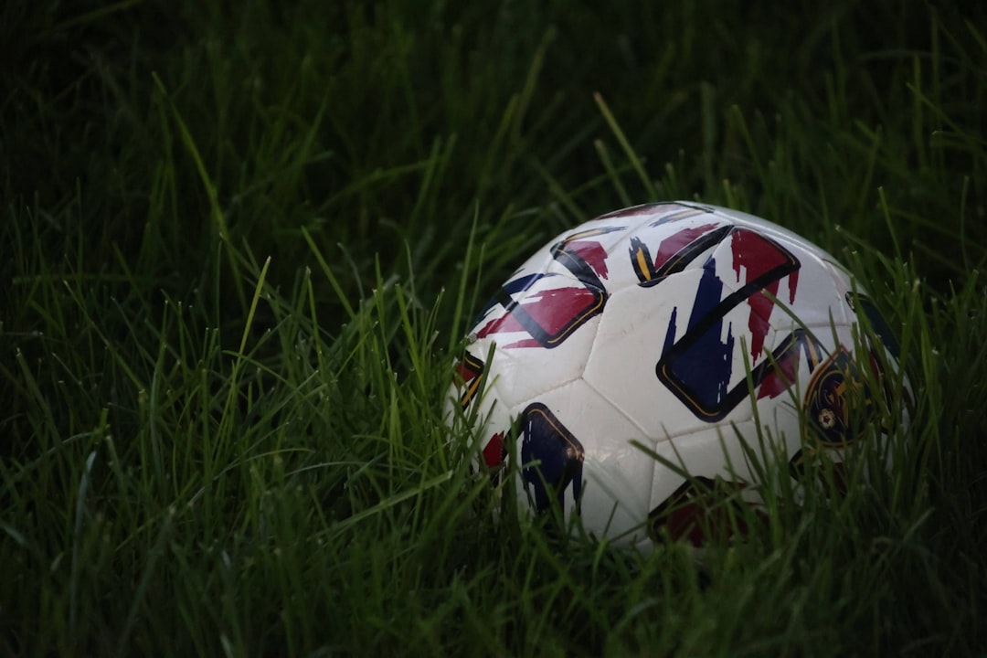 Capture the Moment: How to Take the Best Selfies at the World Cup – World Cup selfies,  football fans